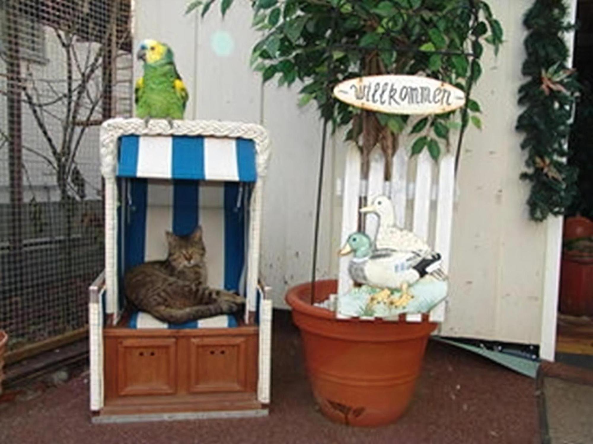 Wohnung In Luebbenau Spreewald Mit Garten, Terrasse Und Grill Exterior foto